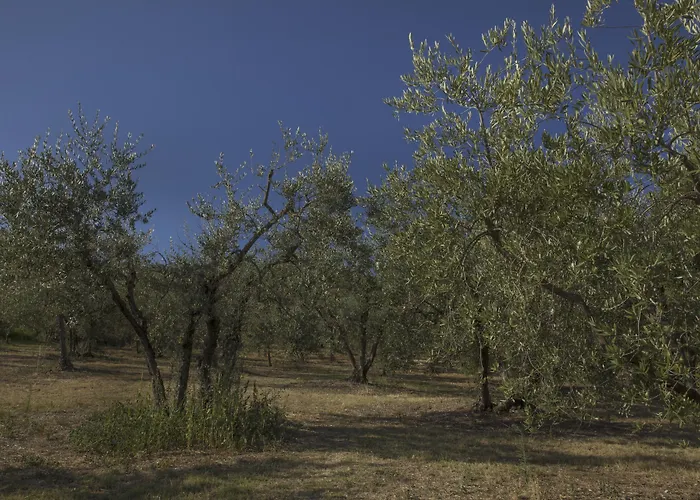 Il Falconiere Relais & 5*