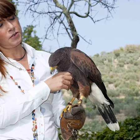 Il Falconiere Relais & 5*