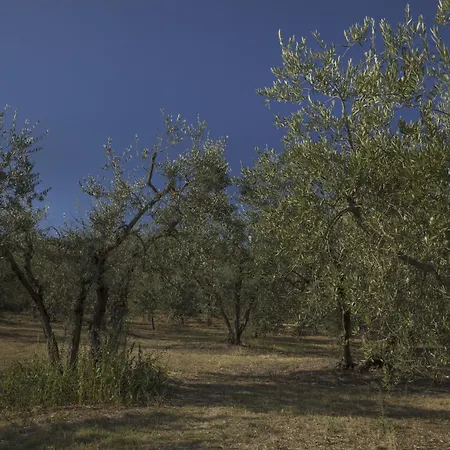 Il Falconiere Relais & 5*